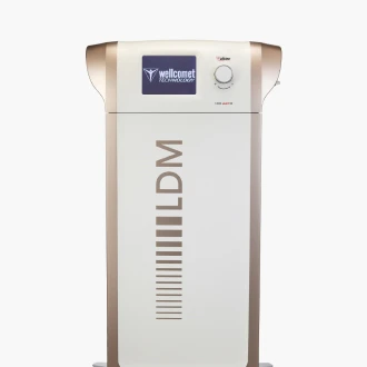 LDM