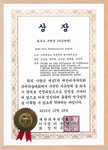색소 레이저 학회 수상